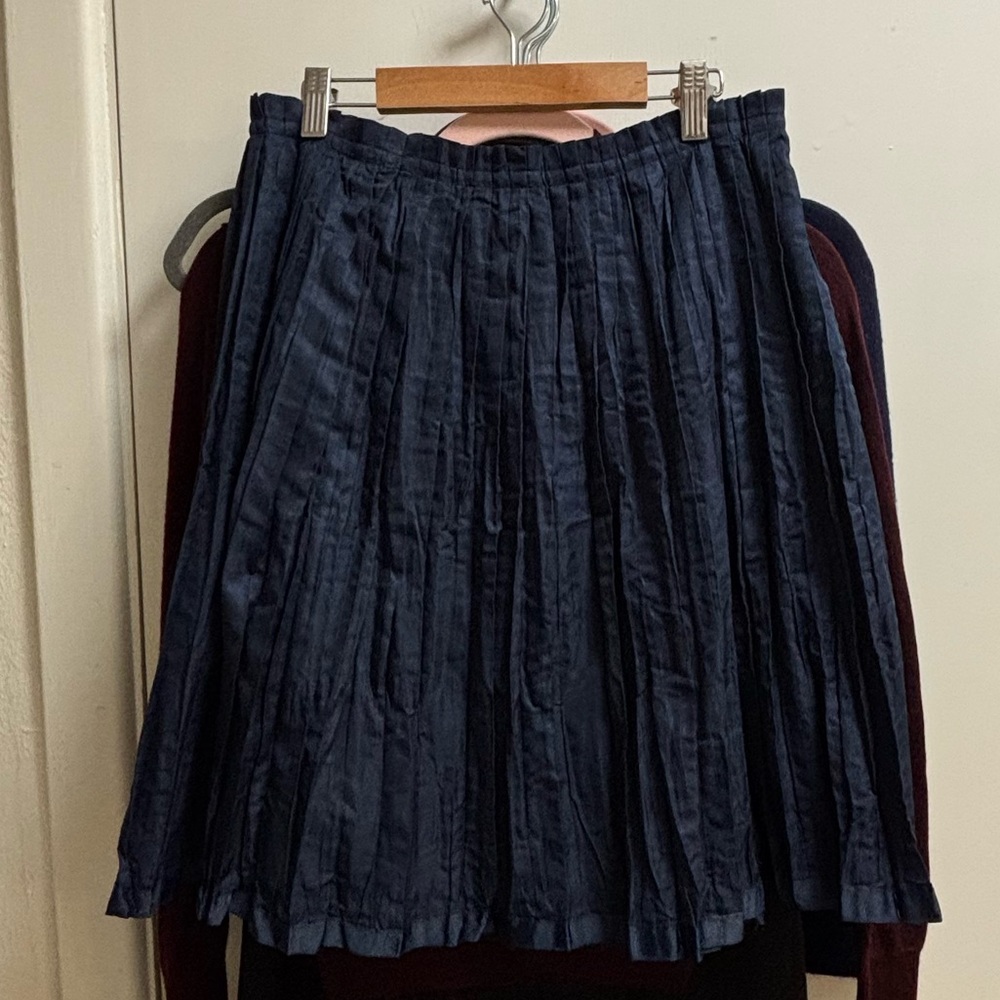 GAP Dark Blue pleated A-Line Skirt